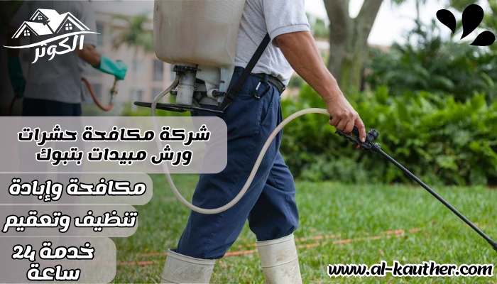 شركة مكافحة حشرات ورش مبيدات بتبوك