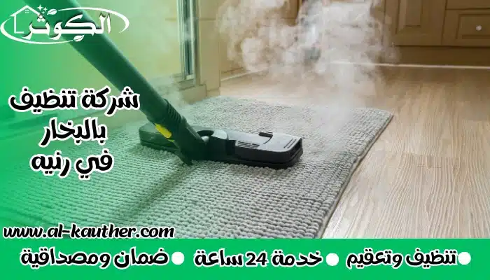 شركة تنظيف بالبخار في رنيه