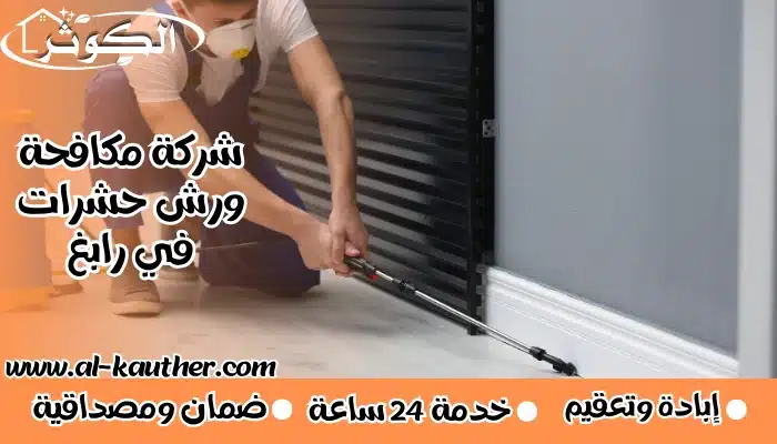 شركة مكافحة ورش حشرات في رابغ